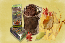 woods dhoop